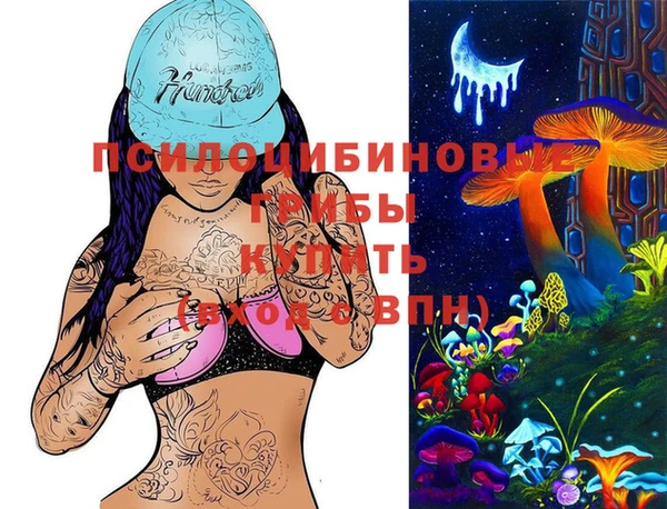 apvp Алзамай