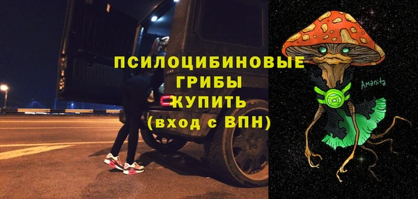 apvp Алзамай
