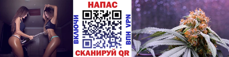 сколько стоит  Пролетарск  Шишки марихуана Ganja 
